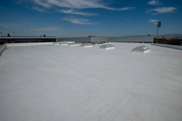 Best Solar Panel Roofing Installation  in Chepachet, RI