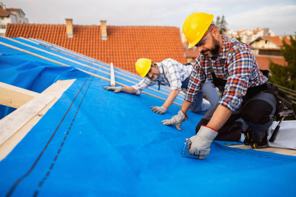 Best Roof Insulation Installation  in Chepachet, RI